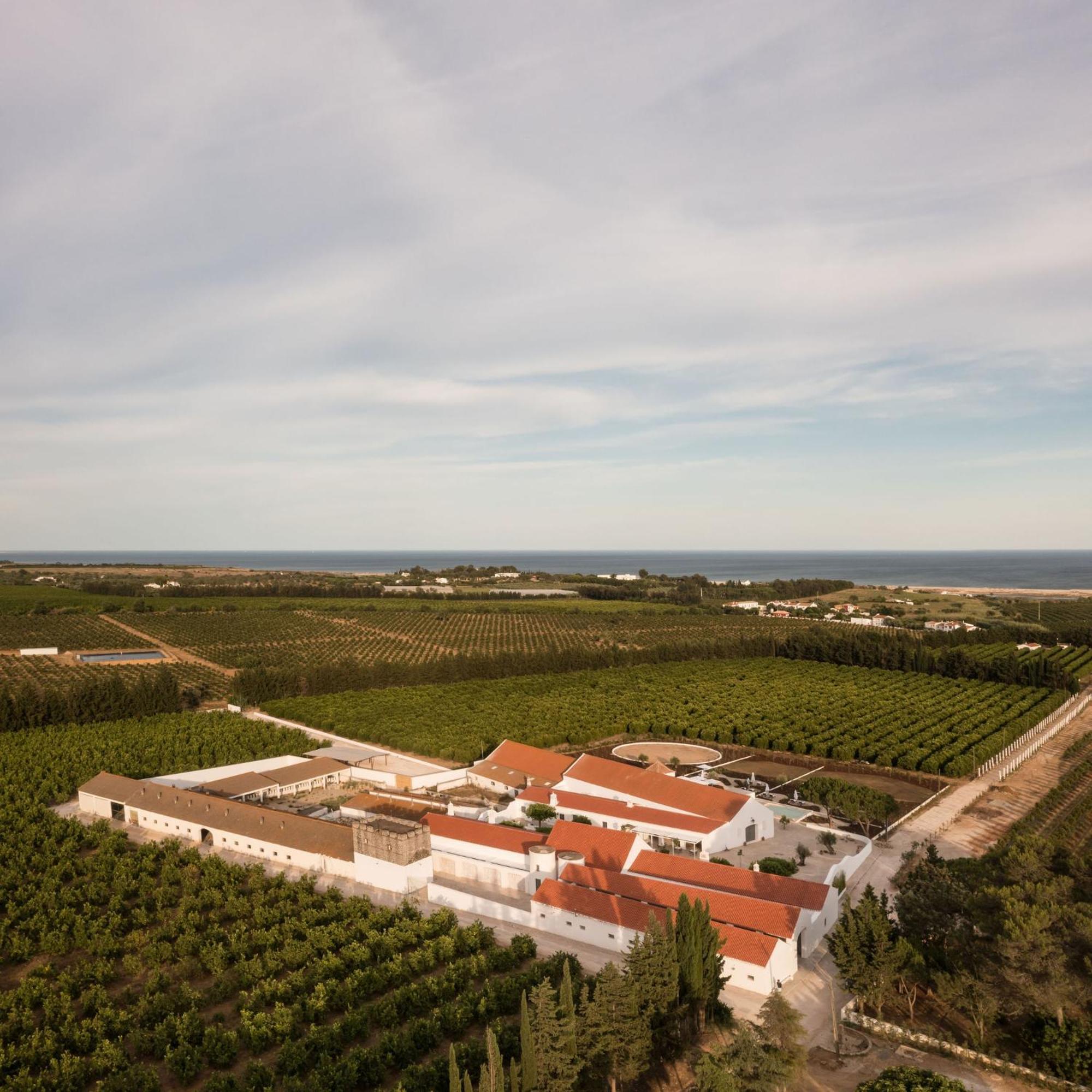 Villa Casas Da Quinta De Cima Vila Nova de Cacela Exterior foto